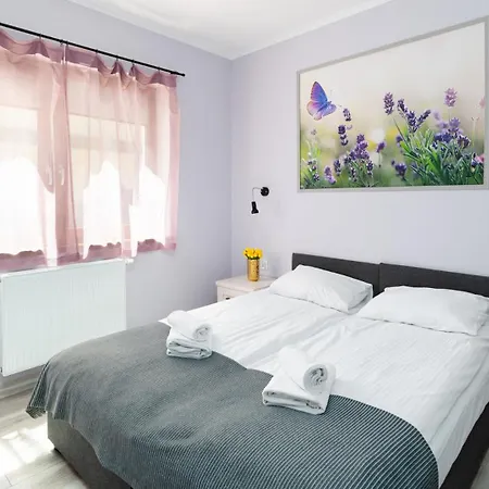Wonder - Karpatia Tuz Przy Stoku I Blisko Szlakow Turystycznych Apartment *